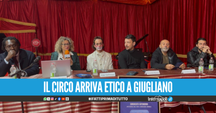 Giugliano ospita il primo circo etico: al centro il benessere animale dell’Imperial Royal Circus