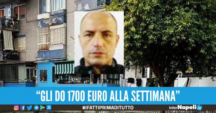 Luigi carella gallina