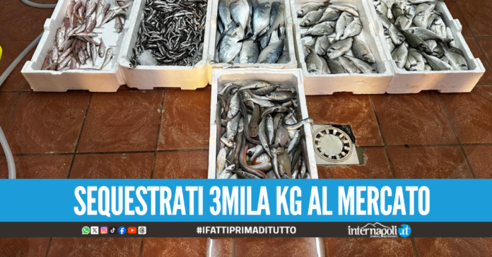 Operazione cenone di Natale sicuro, maxi sequestro di prodotti ittici a Napoli