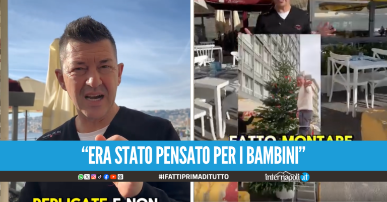 Vergogna a Napoli, rubato l'albero di Porzio sul lungomare