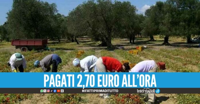 Braccianti 'schiavizzati' nell'Agro Aversano, arrestati marito e moglie