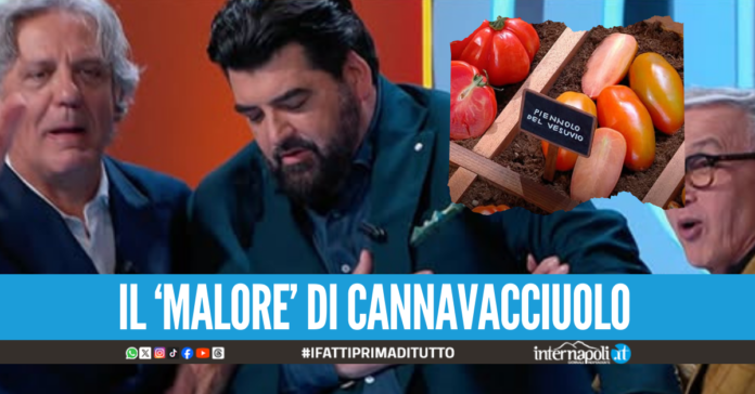Concorrente di MasterChef non riconosce il pomodorino del piennolo del Vesuvio, Cannavacciulo si sente male