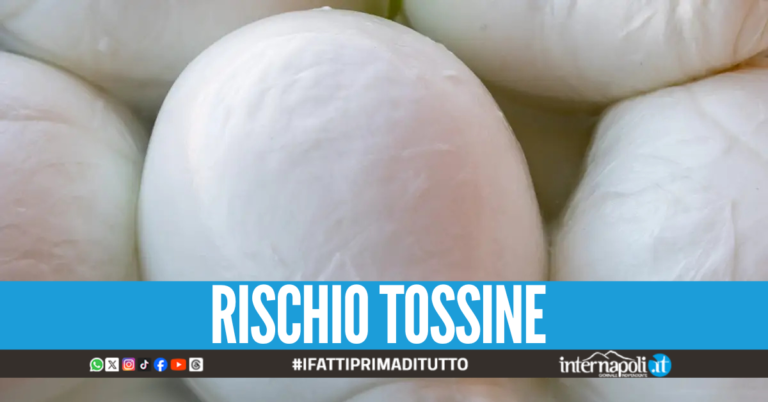 Mozzarella pericolosa ritirata dal mercato, è stata prodotta nello stabilimento del Casertano