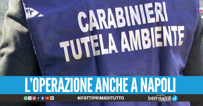 Smaltimento illecito di rifiuti nei terreni in Campania, sgominata la banda: 12 arresti
