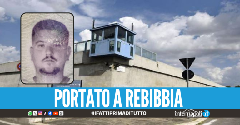 Camorra di Scampia, estradato il ras Cifariello