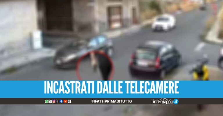 Sparano per vendicare il figlio del boss, 5 arresti dopo la faida tra clan