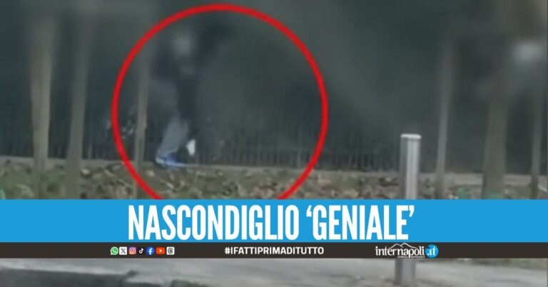 Nasconde la cocaina tra le foglie del parco, arrestato pusher tra le panchine