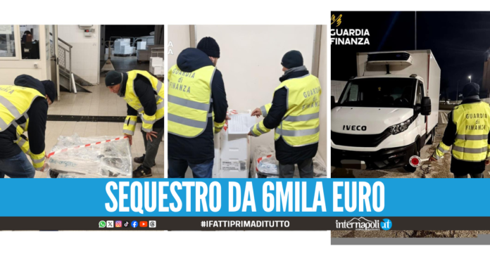Tre quintali di pesce pericoloso, blitz al mercato ittico di Salerno