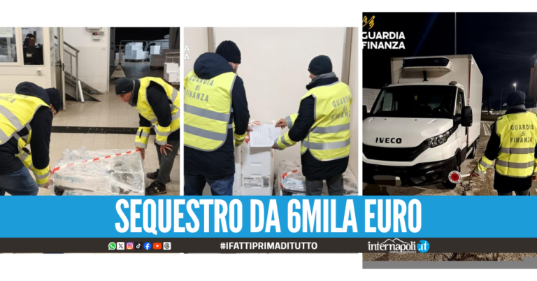 Tre quintali di pesce pericoloso, blitz al mercato ittico di Salerno
