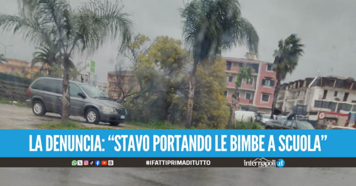 Paura a Giugliano, albero cade sul doppio senso: Sono stata miracolata