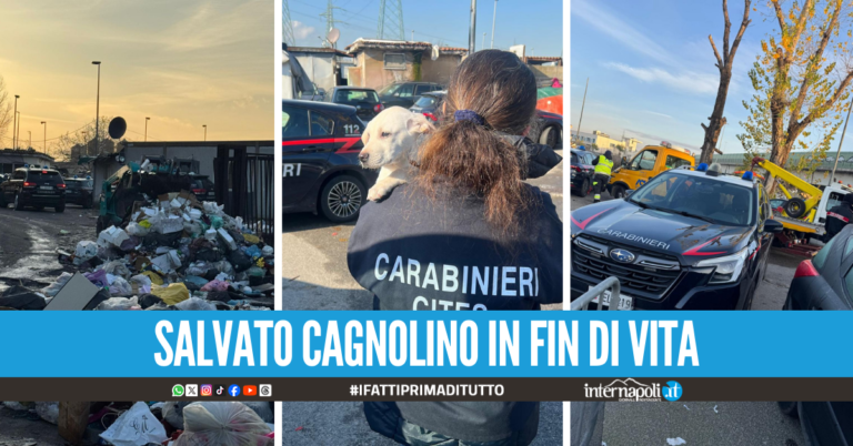 Rifiuti, 21 auto abbandonate e 20 chili di rame: blitz nel campo rom a Napoli