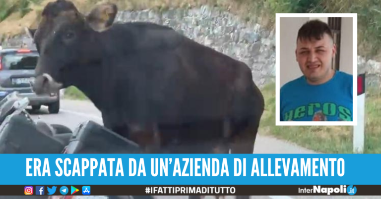 Sergio Balsamo morto