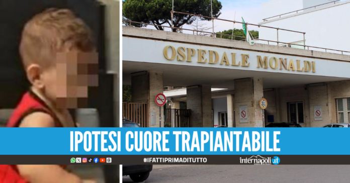 La mamma del piccolo Tommaso convocata al Monaldi, ipotesi arrivo di un cuore nuovo