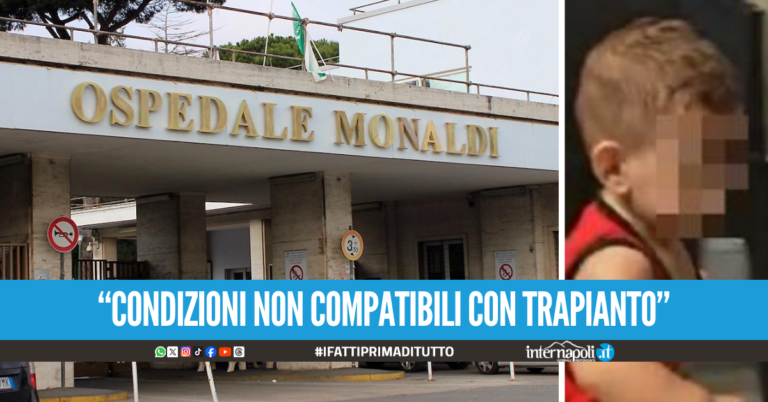 La nota del Monaldi: "Il piccolo Domenico non è compatibile con un nuovo trapianto"