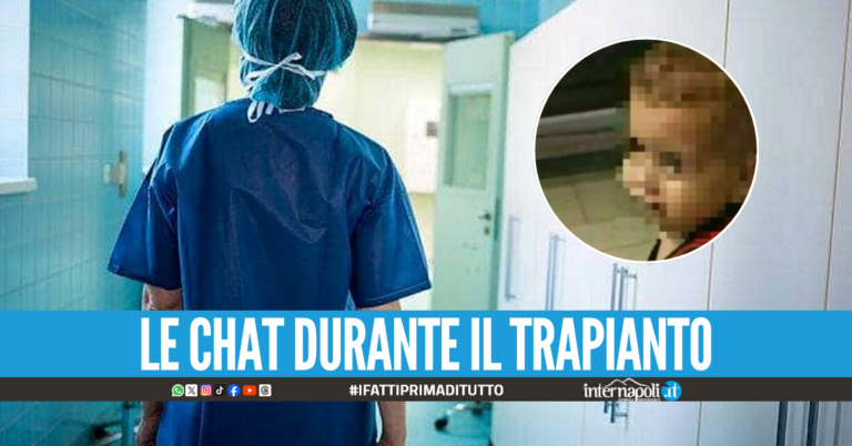 Le chat tra le infermiere di Domenico: "È un casino, se lo portano sulla coscienza"
