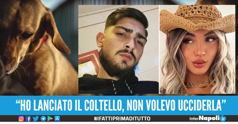 jlenia musella fratello giuseppe cane