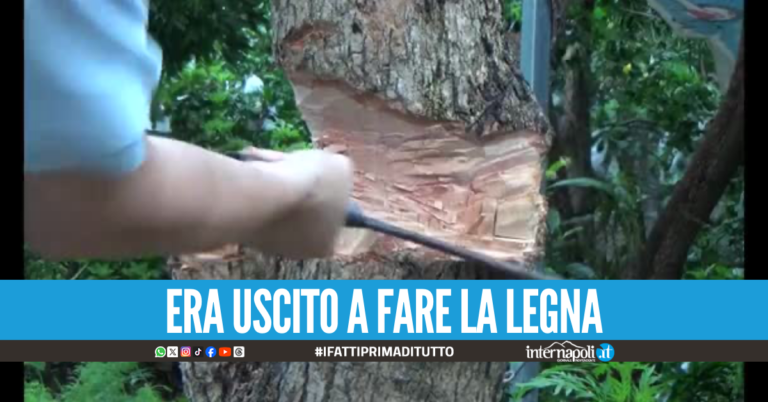 Dramma a Quarto, Gennaro Sommella muore schiacciato da un albero