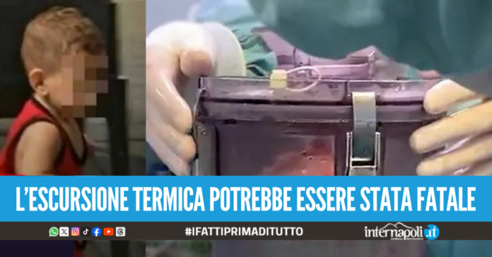 trasporto cuore domenico