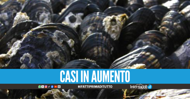 Casi di Epatite A a Bacoli, sospesa la vendita di cozze
