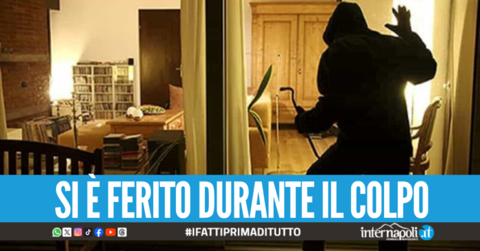 Furto in casa in Penisola Sorrentina, topo d'appartamento scoperto grazie al Dna