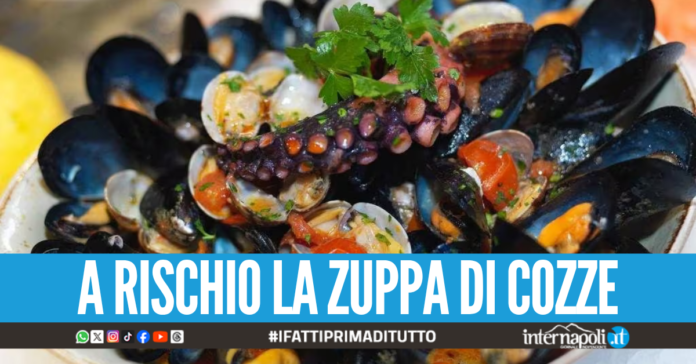 Aumentano i casi di epatite A a Napoli, arriva la stretta del Comune contro i frutti di mare