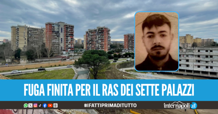 Blitz a Scampia, arrestato il latitante Pietro Gemito