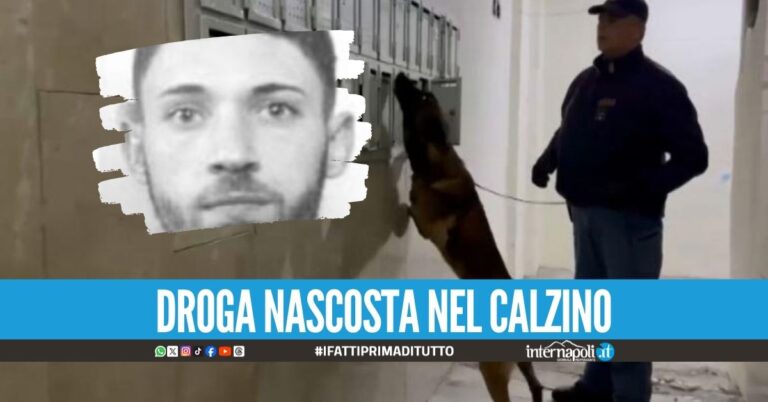 Blitz nella piazza del clan Raia, un arresto alle Case dei Puffi