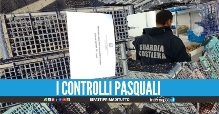 Frutti di mare 'pericolosi' venduti lungo il Litorale Domizio, c'è il sequestro