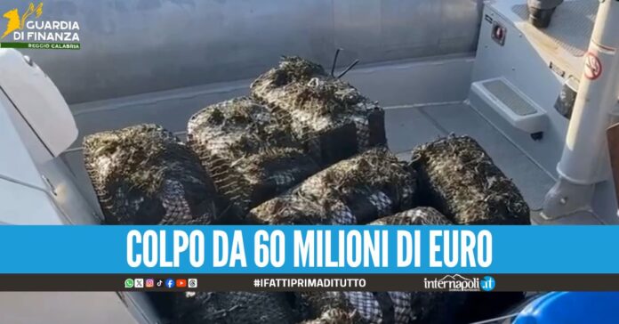 Sequestrati 400 kg di cocaina purissima al porto di Gioia Tauro