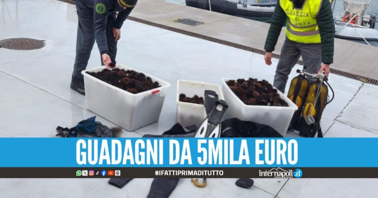 Pescavano ricci nel mare di Salerno, multe da 18mila euro