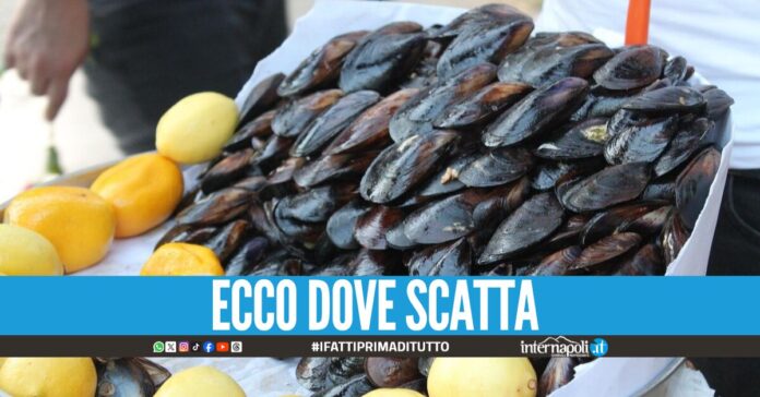 Allerta Epatite A in provincia di Napoli, i sindaci vietano i frutti di mare crudi