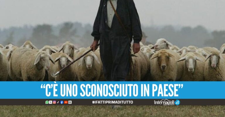 Latitante catturato nel Casertano, faceva il pastore nel casolare
