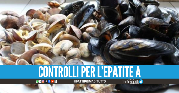 Cozze e vongole vendute sul ciglio strada tra lo smog, scatta la denuncia nel Napoletano