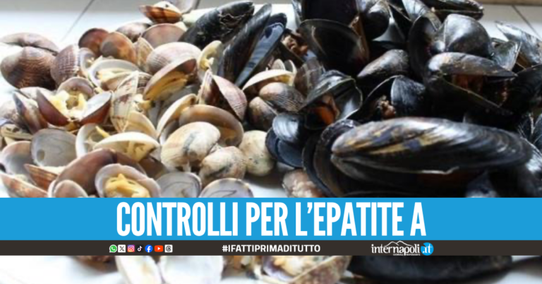 Cozze e vongole vendute sul ciglio strada tra lo smog, scatta la denuncia nel Napoletano