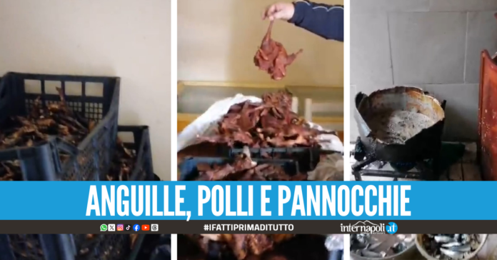 Cucina degli orrori a Giugliano, sequestrati 160 chili di cibo pericoloso