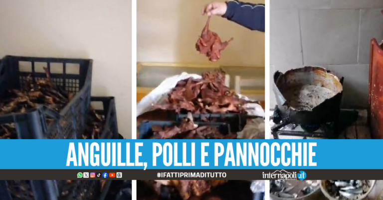 Cucina degli orrori a Giugliano, sequestrati 160 chili di cibo pericoloso