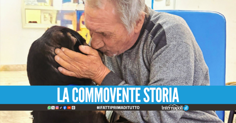 Diego, il cucciolo che inseguì l'ambulanza riabbraccia il suo padrone