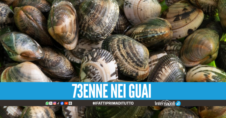 Epatite A, aveva in auto 25 kg di vongole veraci senza tracciabilità: denunciato nel Napoletano