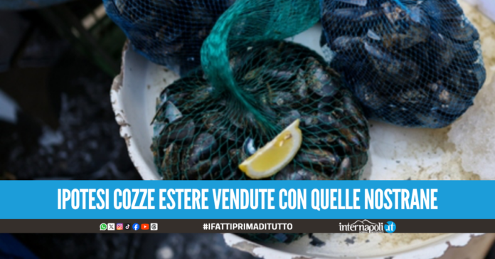Epatite A tra Campania e Lazio, inchiesta di Procura e Nas di Napoli