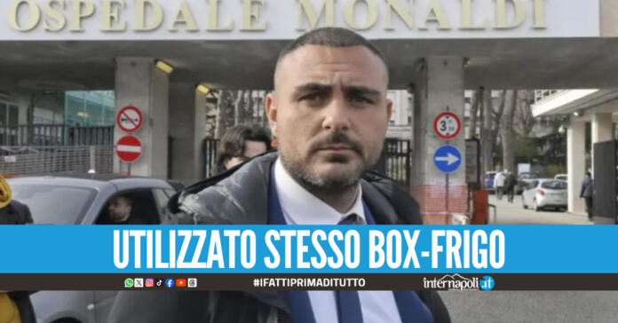 L'avvocato Petruzzi: 