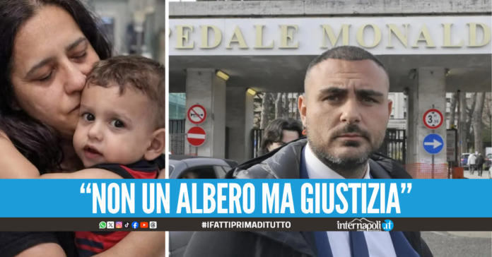 Morte Domenico, l'avvocato Petruzzi: "Dal Monaldi nessuna risposta sul risarcimento"