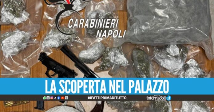 Blitz nel Napoletano, sequestrate droga e pistole nel covo