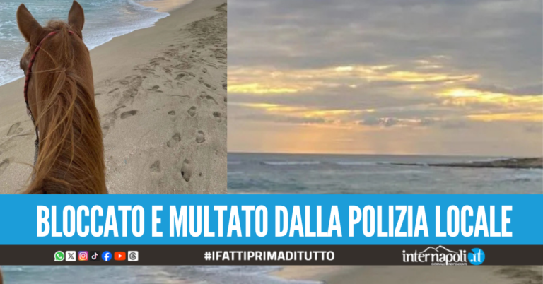cavallo spiaggia castellammare