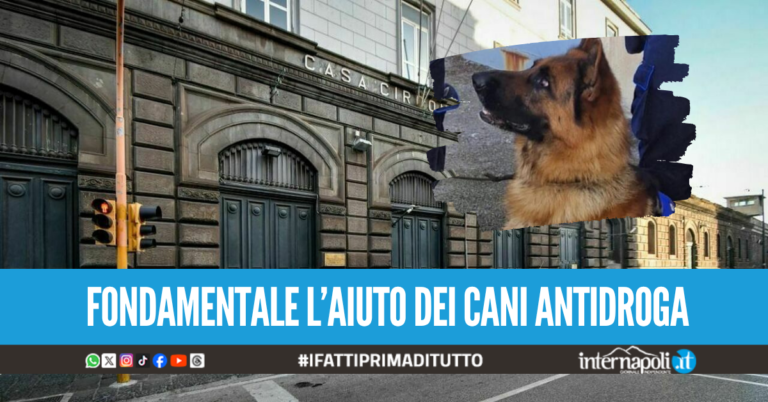 Carcere di Poggioreale al setaccio: sequestrati coltello, cellulari e hashish