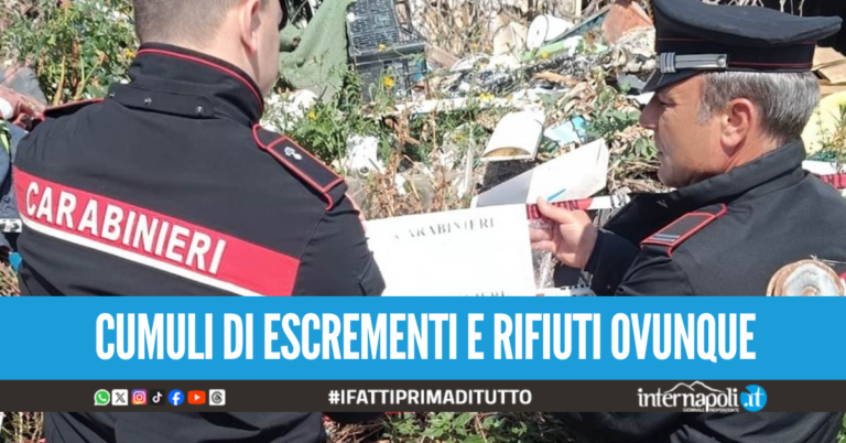 Vivono con i figli minori nella "casa-discarica" a Mondragone": con loro cani, gatti e un pitone reale