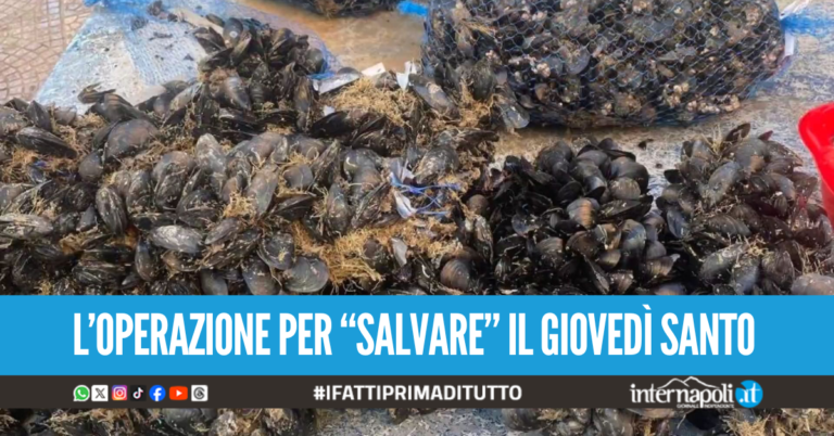 Cozze pericolose in ristoranti e pescherie a Volla, scatta il blitz 'anti epatite A'