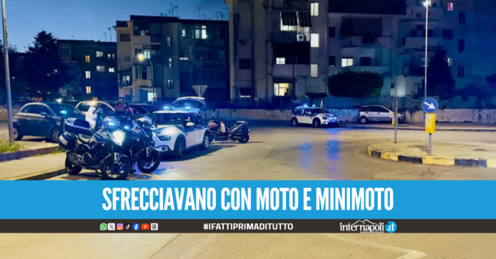 Raffica di controlli alla Masseria Cardone, scattano i sequestri