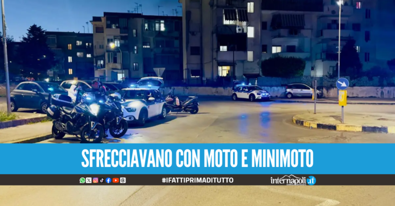 Raffica di controlli alla Masseria Cardone, scattano i sequestri