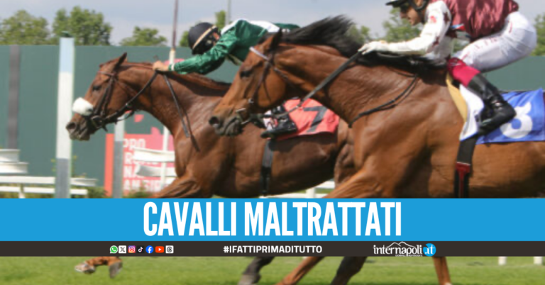 Doping sui cavalli all'ippodromo di Agnano, in otto a giudizio