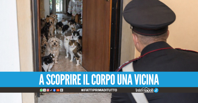 Dramma della solitudine nel Casertano, 56enne trovata morta tra escrementi di animali